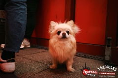 eZy-Watermark_01-04-2024_01-54-41-0170PM