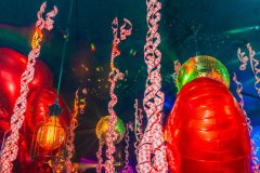 83917634_1340985236090961_5530985405488300032_n